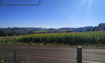 Imagem 6: Terreno Rio Bonito do Iguaçu