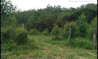 Imagem 5: CHÁCARA  SEM BENFEITORAIS -ROCINHA - GUARATINGUETÁ  SP