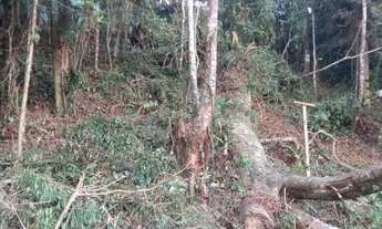 Imagem 1: Lote/Terreno para venda possui 990 metros quadrados em Panorama - Teresópolis - Rio de Jan