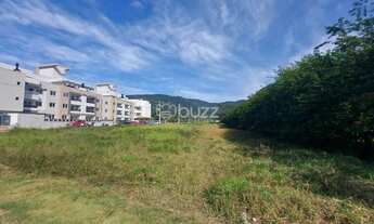 Imagem 3: Amplo Terreno em Loteamento no Ribeirão da Ilha - Florianópolis