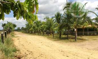 Imagem 2: Fazenda à venda no bairro Centro - 2100 ha Goianésia do Pará/PA