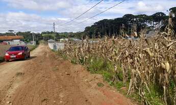 Imagem 6: Excelente Chacra com 2.500 m2 Campina taguara 250.000.00