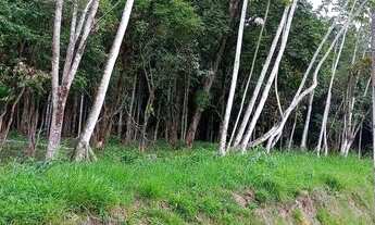 Imagem: Terreno em Rio dos Cedros