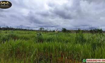 Imagem 4: Vendo Ótimo Sítio, Super Barato