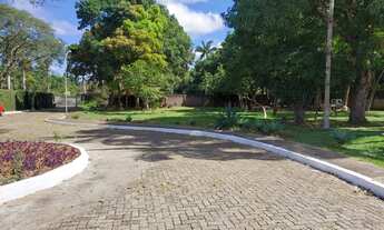 Imagem: Casa para venda tem 230 metros quadrados