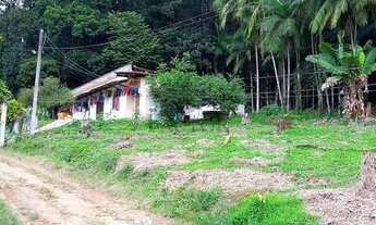 Imagem 4: Terreno em Rio dos Cedros