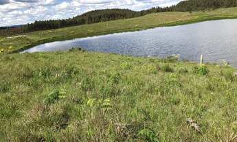 Imagem 3: VENDO ÁREA DE TERRA COM 41,5 HECTARES EM JAQUIRANA