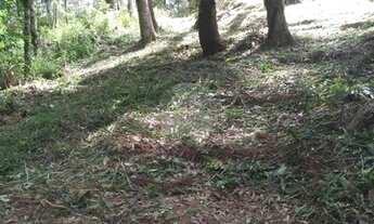 Imagem 7: Terreno à venda em Campo Largo/PR