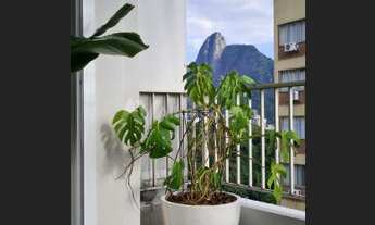 Imagem 4: Rio de Janeiro - Apartamento Padrão - Botafogo