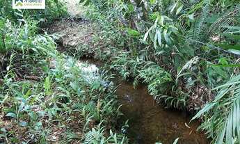 Imagem 6: Chácara à venda no bairro América de Cima - Morretes/PR