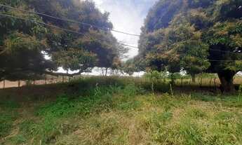 Imagem 5: Fazenda para venda. Com 9.950.000m² - casa sede com 5 quartos