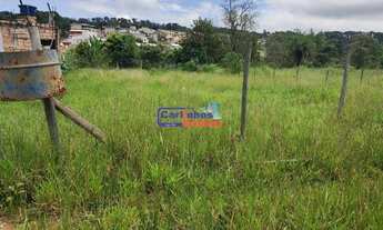 Imagem 3: Terreno Com Nascente