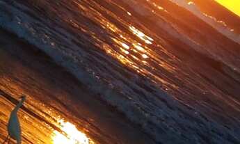 Imagem: Aluguel Excelente Casa Na Praia, No Pinhal