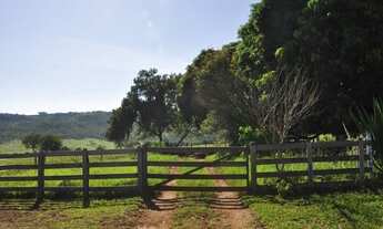 Imagem 5: Fazenda com1.878 hectares ou seja, 388 Alqueires em Tupaciguara, nas Margens da Represa