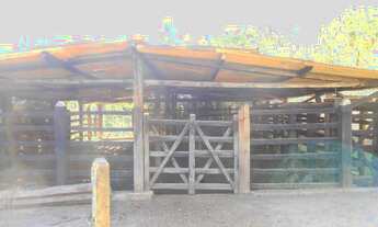 Imagem 7: Fazendinha município Aratuípe -Bahia