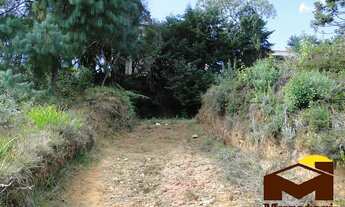 Imagem 7: Lote à venda Terreno / lote com venda por R$280.000