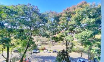 Imagem 5: PORTO ALEGRE - Padrão - Humaitá