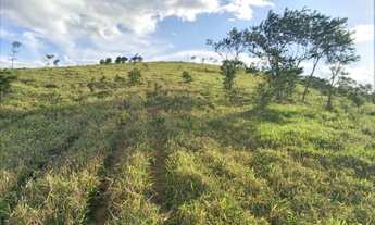 Imagem 2: Linda fazenda com 43 alqueires e meio. Linda, toda formada