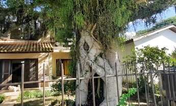 Imagem 2: Sobrado para venda com 3 quartos em Centro - Guaíba - RS