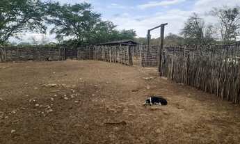 Imagem 7: Fazenda para venda. Com 9.950.000m² - casa sede com 5 quartos