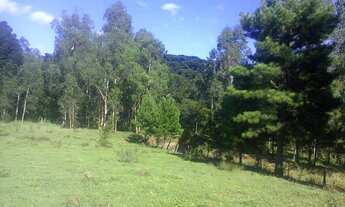 Imagem 4: VENDE-SE SÍTIO 60 HECTARES