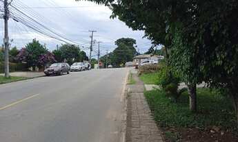 Imagem 2: Lote/Terreno para venda com 665 metros quadrados em Santo Inácio - Curitiba - PR