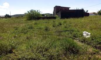 Imagem 3: Repasso terreno em catuama