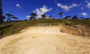 Imagem: Terreno / Venda