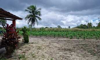 Imagem 2: Sítio com casa em Macaiba-RN