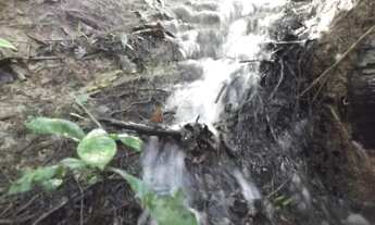 Imagem 2: Chácara 9.500m² com um barracão, muita água, terra boa/Jaboticatubas, temos varias opções