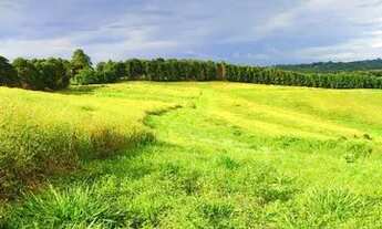 Imagem 5: Lote à venda em Cotia - SP