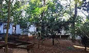 Imagem 5: Chacara de 5mil m² com rica área verde de mata atlântica