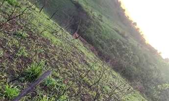 Imagem 6: Terreno 7x35 Terreno / lote com venda por R$13.000