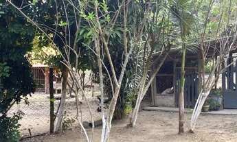 Imagem 6: Chácara - 13.000m²