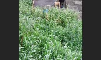 Imagem: Salão Comercial R$150.00.00