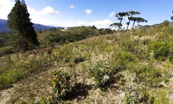 Imagem 6: Terreno / Venda Terreno / lote com venda por R$230.000