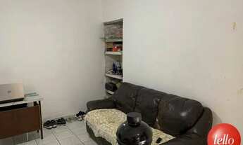 Imagem 3: São Paulo - Casa Padrão - Tatuapé