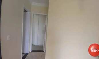Imagem 6: São Paulo - Apartamento Padrão - Vila Matilde