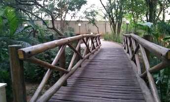 Imagem 5: Lindíssimo Apartamento no Morumbi