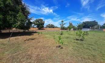 Imagem: Terreno na Santa Maria da Codipi em Teresina-PI