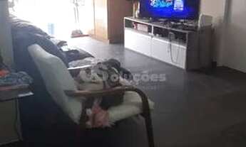 Imagem 6: Sobrado Alto Padrão à venda com 5 dormitórios na Zona Norte em Rua do Alto, Tucuruvi, São