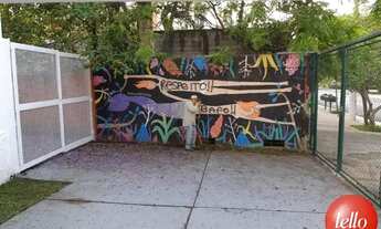 Imagem 5: São Paulo - Galpão/Depósito/Armazém - Vila Leopoldina