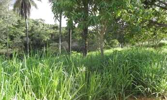 Imagem 6: Fazendinha rural de 6.5 ha, Jaboticatubas (Temos varias opções)