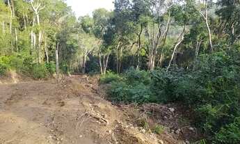 Imagem 6: Realize seu sonho