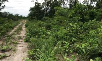 Imagem 5: Vendo fazenda em Cristalândia TO