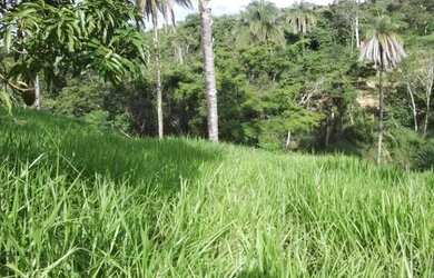 Imagem 4: Fazendinha rural de 6.5 ha, Jaboticatubas (Temos varias opções)