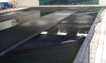 Imagem 6: Comercial - Pinheiros