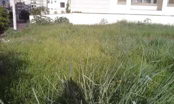 Imagem 7: Terreno residencial à venda, Bosque das Juritis, Ribeirão Preto