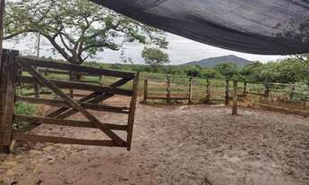 Imagem 6: Venda Commercial / Agricultural Curvelo MG