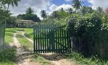 Imagem: Vendo Sítio no Povoado da Chica em São